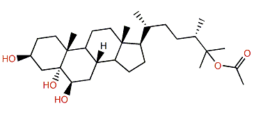 (24S)-24-Methylcholestane-3b,5a,6b,25-tetrol 25-monoacetate